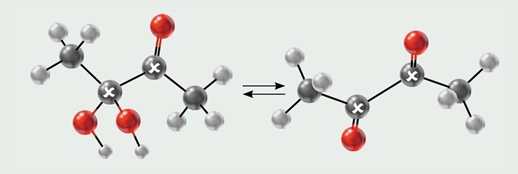 Манипулировать долгоживущими состояниями можно с помощью химической реакции. В исходной молекуле диацетила CH₃¹³C(=O)¹³C(=O)CH₃ с карбонильными группами, мечеными изотопом ¹³C, два атома ¹³C являются эквивалентными и формируют долгоживущее состояние с При добавлении воды образуется моногидрат CH₃¹³C(=O)¹³C(OH)₂CH₃, в котором два атома ¹³C становятся неэквивалентными. Это позволяет манипулировать состояниями спинов этих ядер и регистрировать их сигнал ЯМР. Добавление ацетона вновь сдвигает равновесие в сторону диацетила и воссоздает долгоживущее состояние с I = 0. По: (Warren et al., 2009)