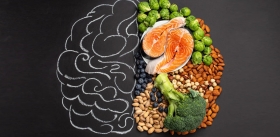В головном мозге найден «провокатор» нездоровой тяги к еде
